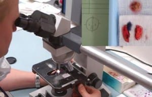 Mohs microscope