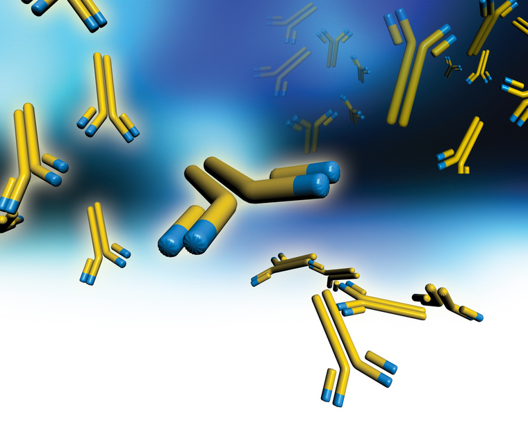 What is IL-17 and Why is it a Good Target for Psoriasis Treatment?