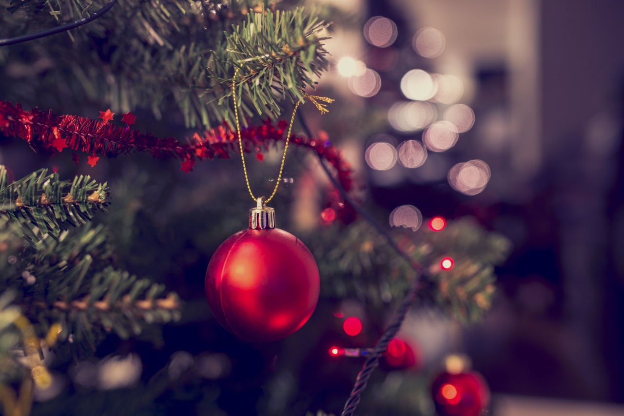 Pityriasis Rosea: The Christmas Tree Rash